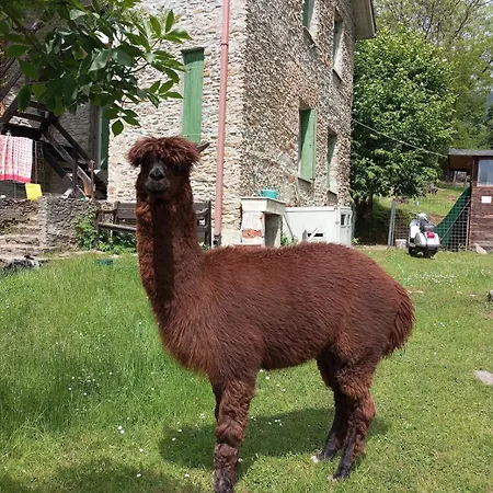 Casa Dui E Alpaca