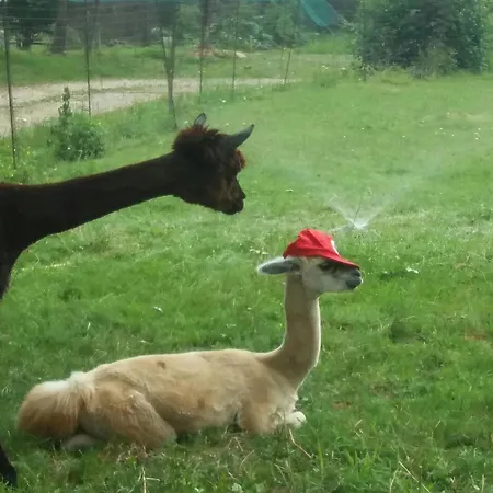 Casa Dui E Alpaca