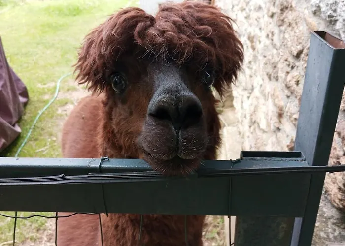 Σπίτι διακοπών Casa Dui E Alpaca